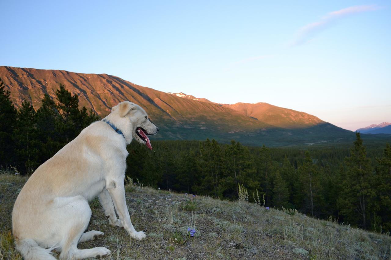 Spirit Lake Lodge ไวท์ฮอร์ส ภายนอก รูปภาพ